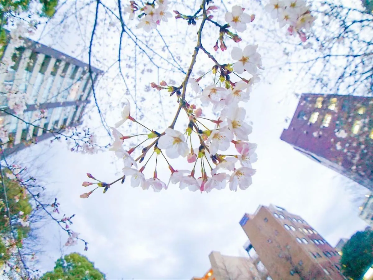 Henn Na Hotel Tokyo Ginza 3*,